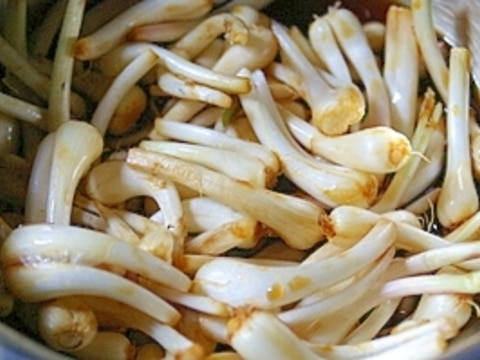 あさつきの球根の醤油漬け レシピ 作り方 By 和土 楽天レシピ あさつきの球根の醤油漬け レシピ 作り方 By 和土 楽天レシピ